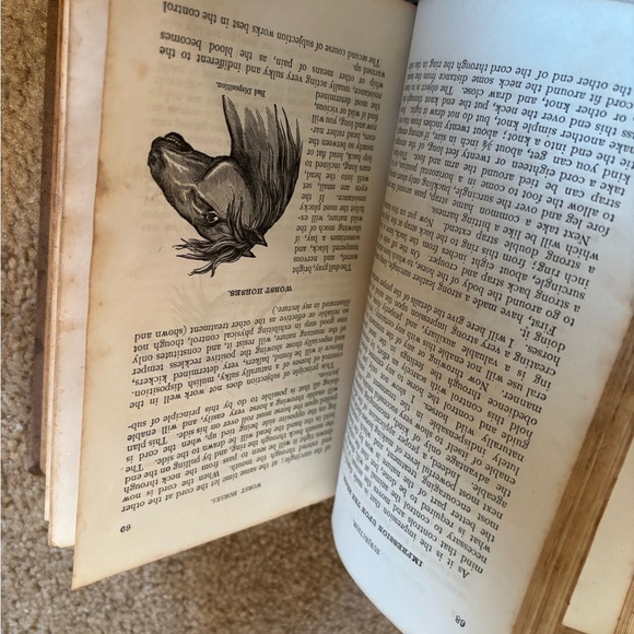 New System Educating Horses Book Late 1800s- Early 1900s - Picture 7 of 13